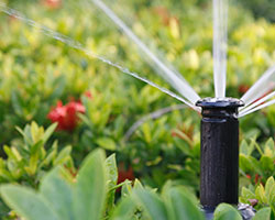 Irrigation Systems