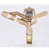 Brass Sprinkler